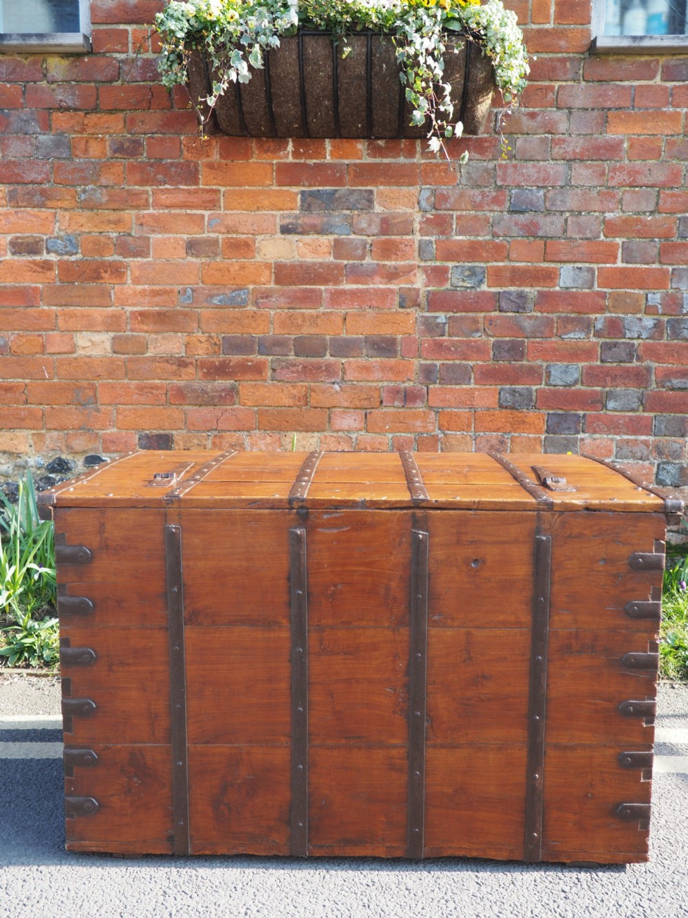 Indian teak trunk View VIII