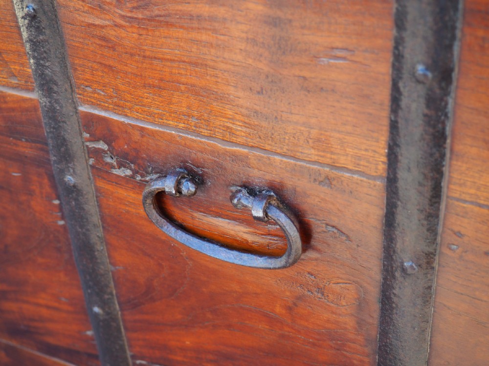 Indian teak trunk View X