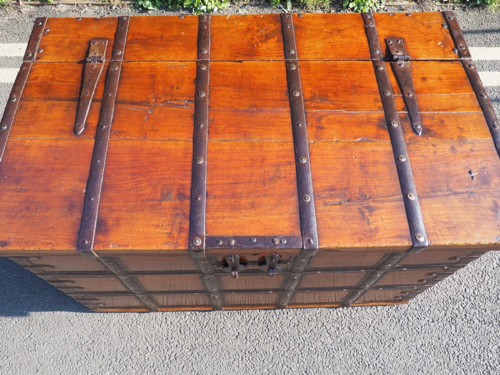 Indian teak trunk View XI