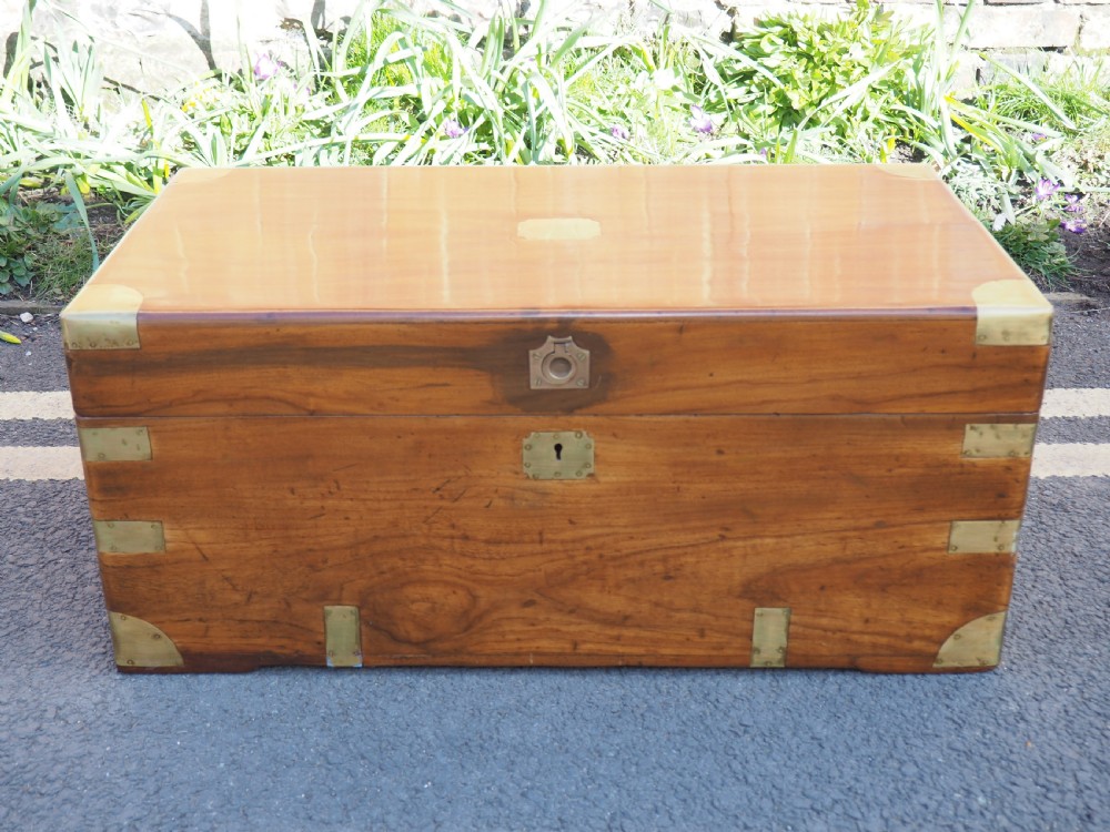 Camphor trunk View II