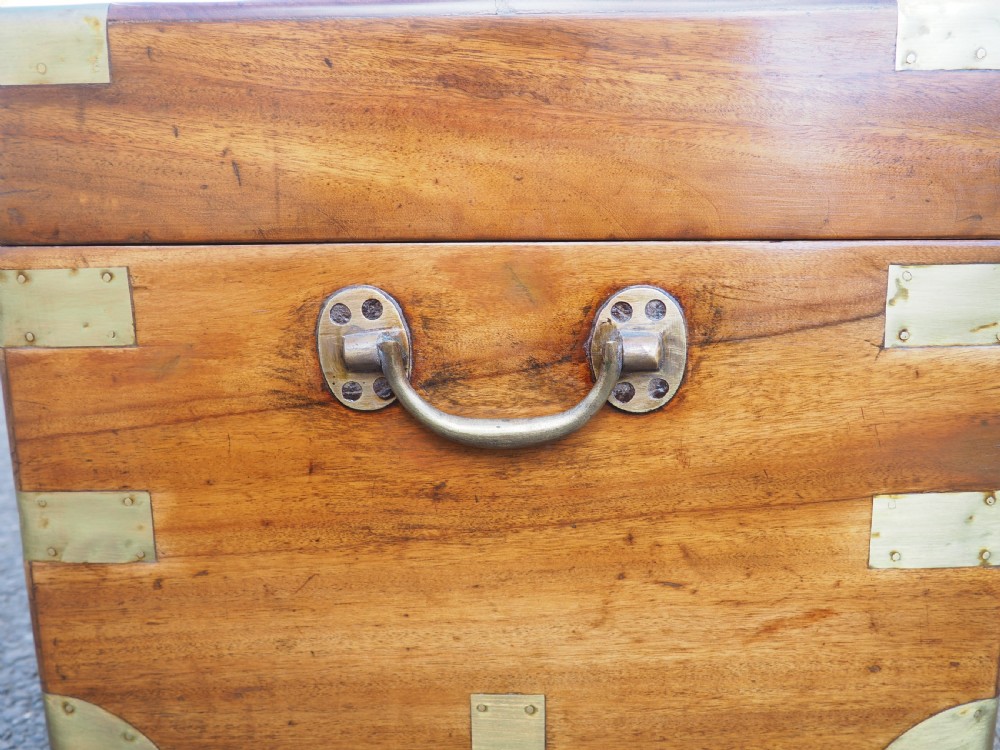 Camphor trunk View VII