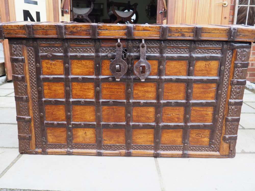 Indian teak trunk View III
