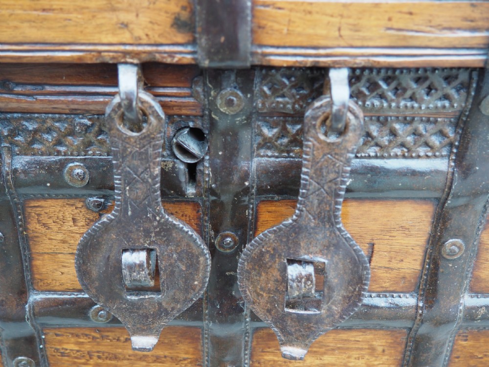 Indian teak trunk View IV