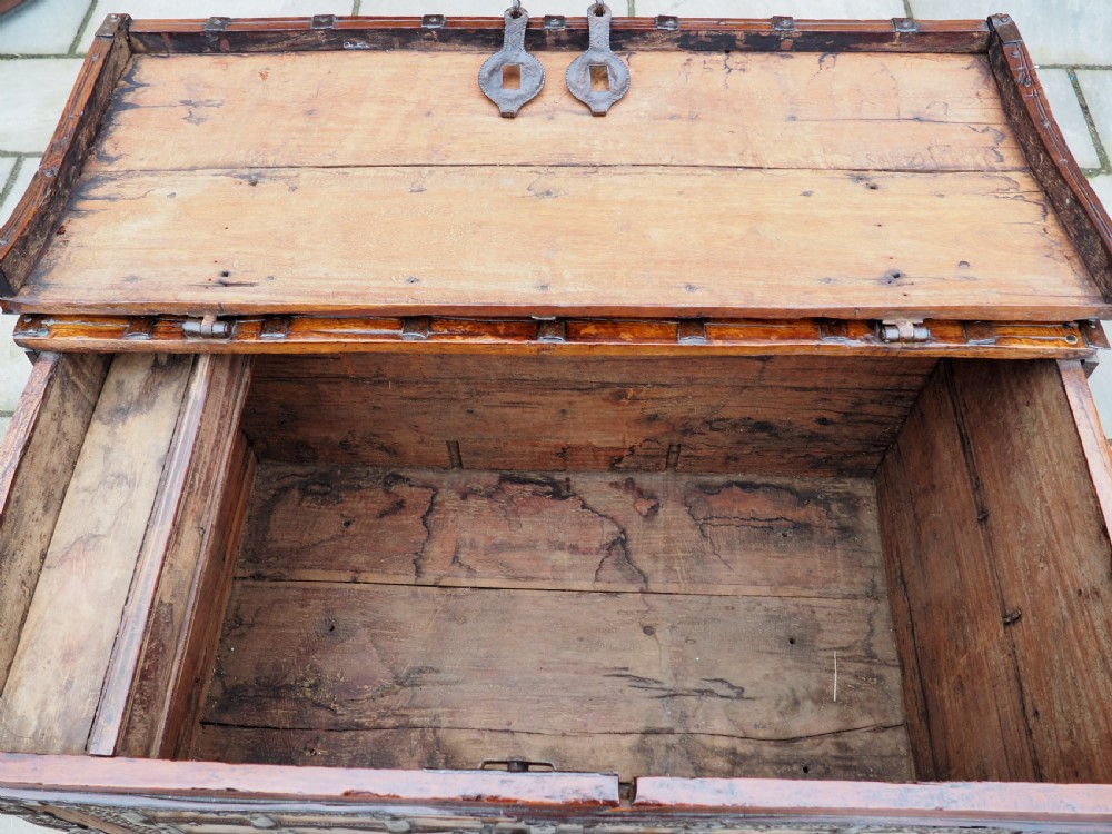 Indian teak trunk View V