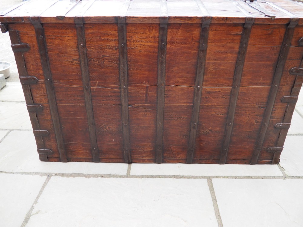 Indian teak trunk View VI