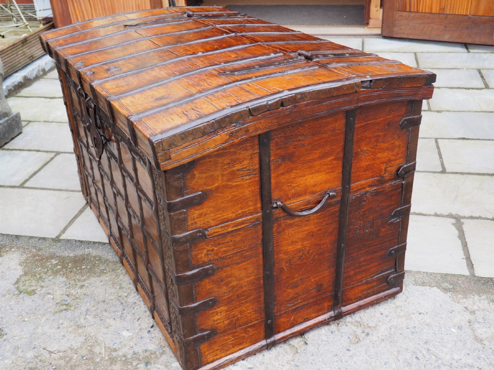 Indian teak trunk View VII