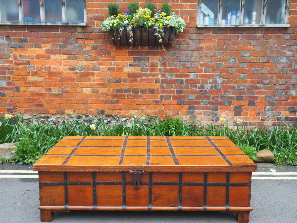 Very large Indian teak trunk