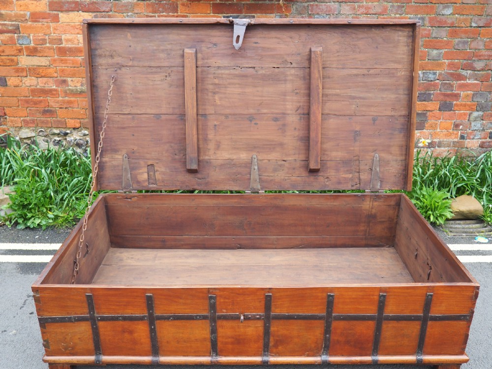 Very large Indian teak trunk View IV