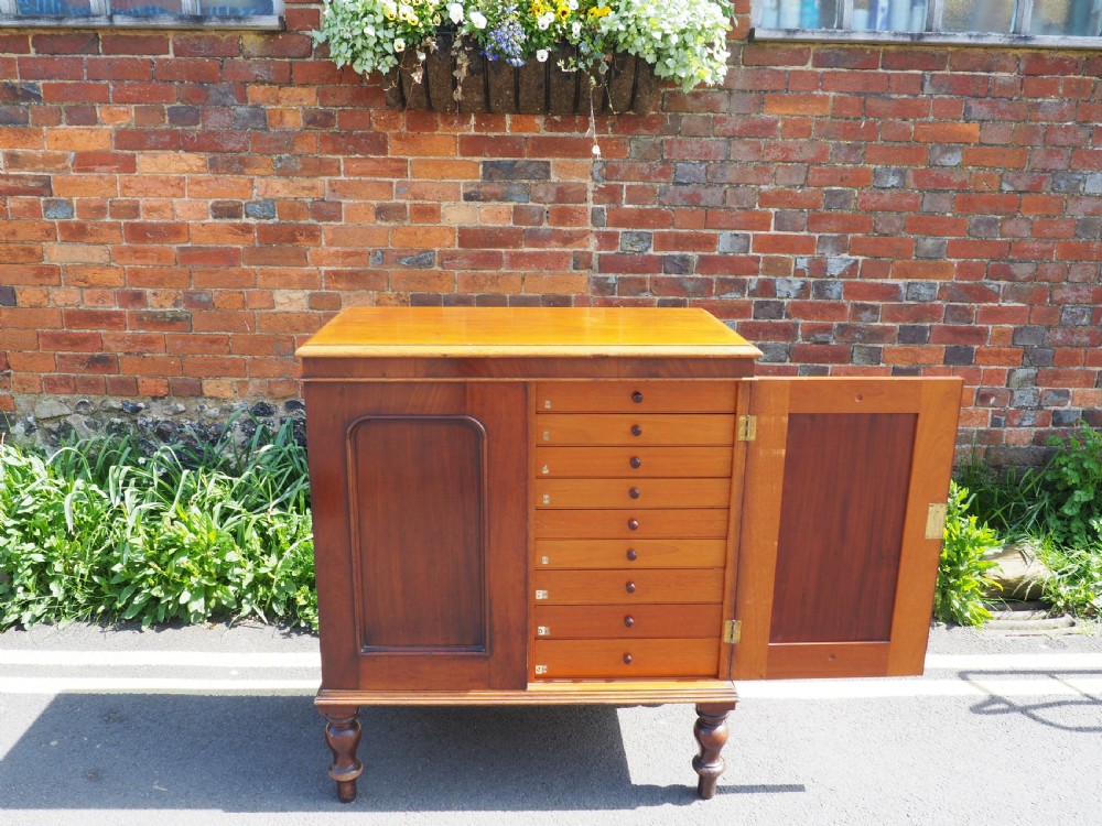 Victorian Mahogany collectors cabinet View X