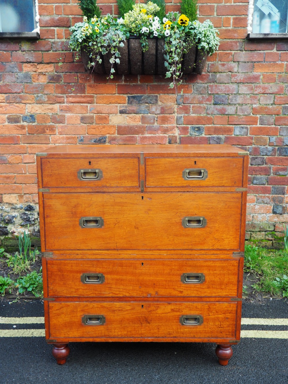 Teak military chest with cases View X