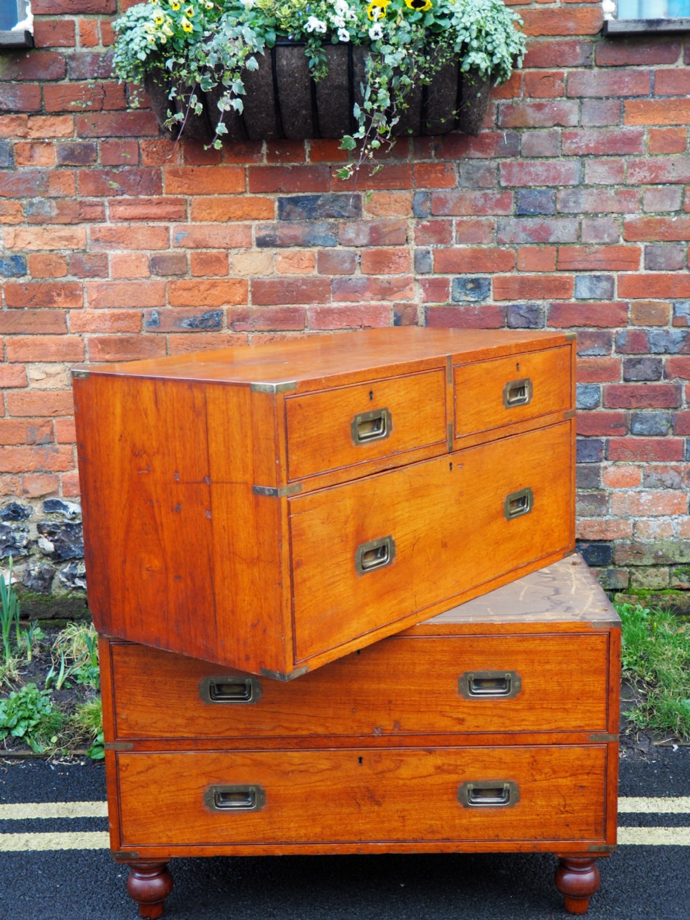 Teak military chest with cases View XX