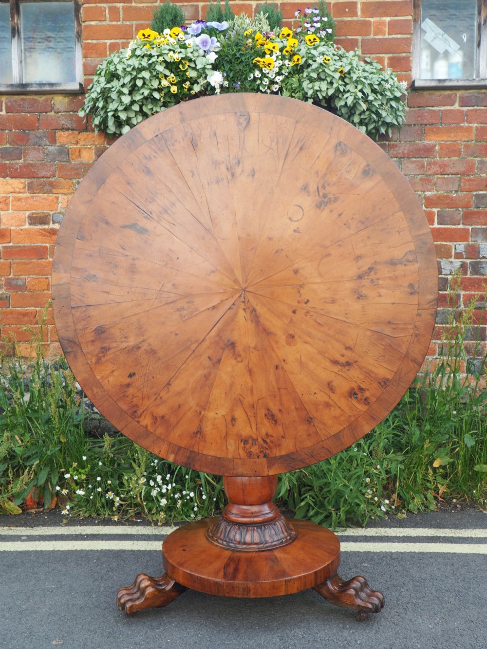 Nineteenth century Yew pedestal table