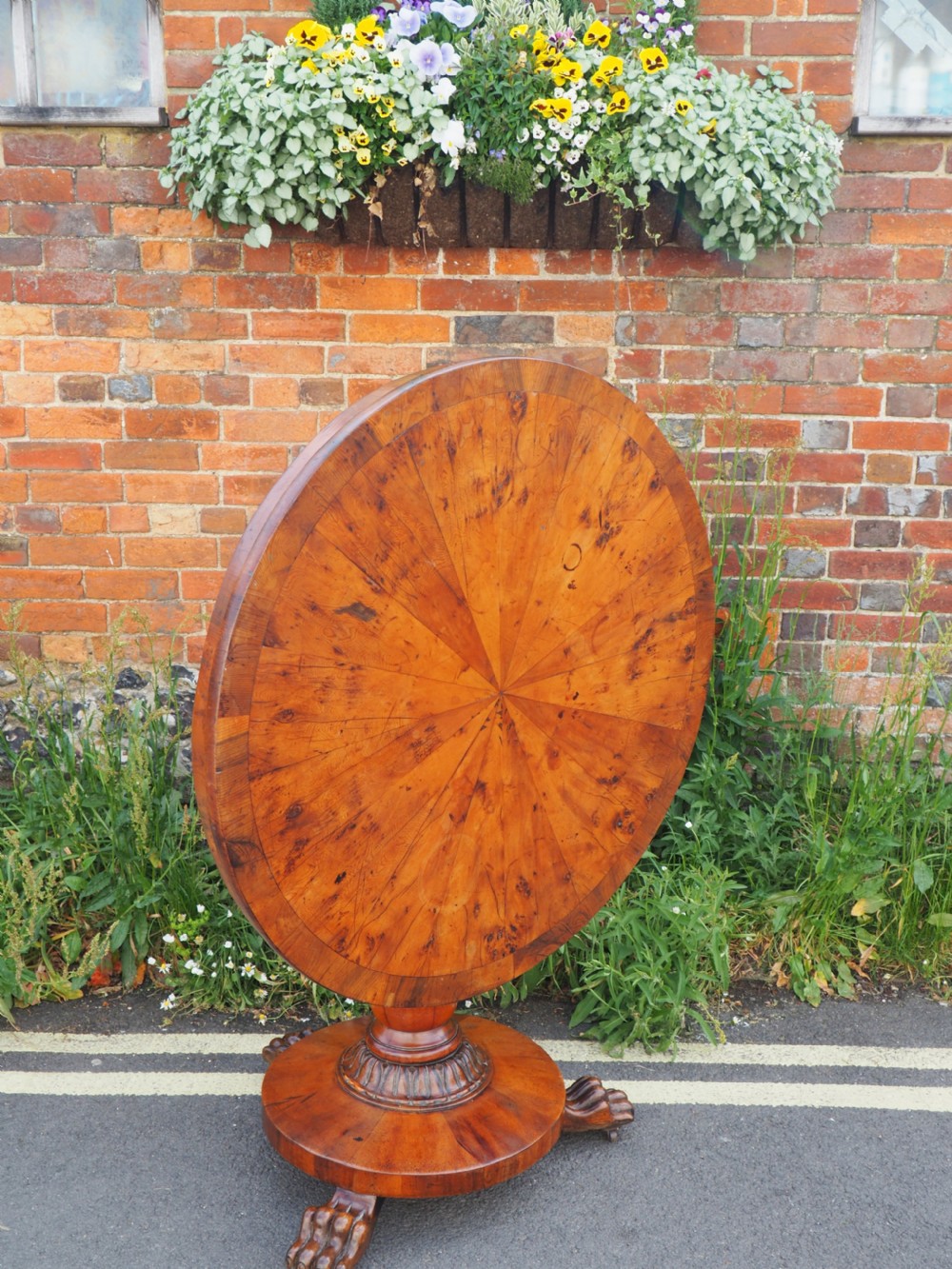 Nineteenth century Yew pedestal table View VII