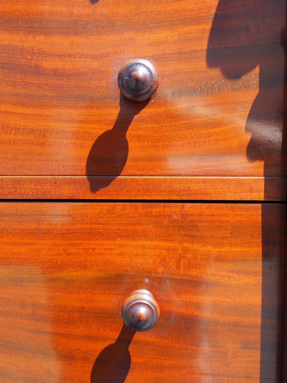 Victorian Mahogany Wellington chest View II