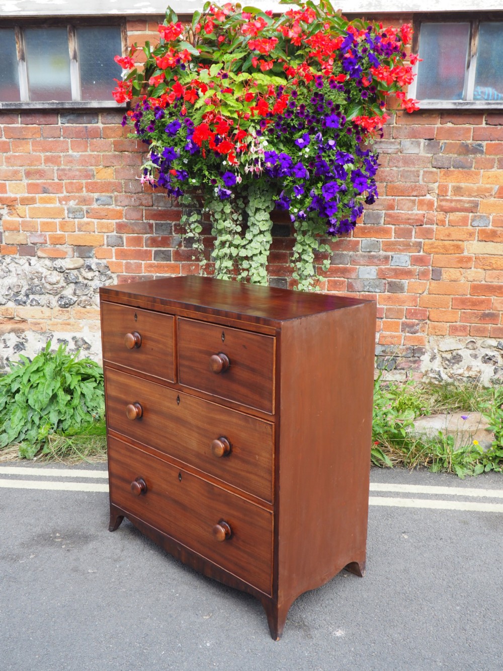 Georgian Mahogany Chest View X