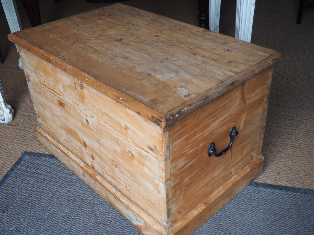 Victorian Pine trunk View III