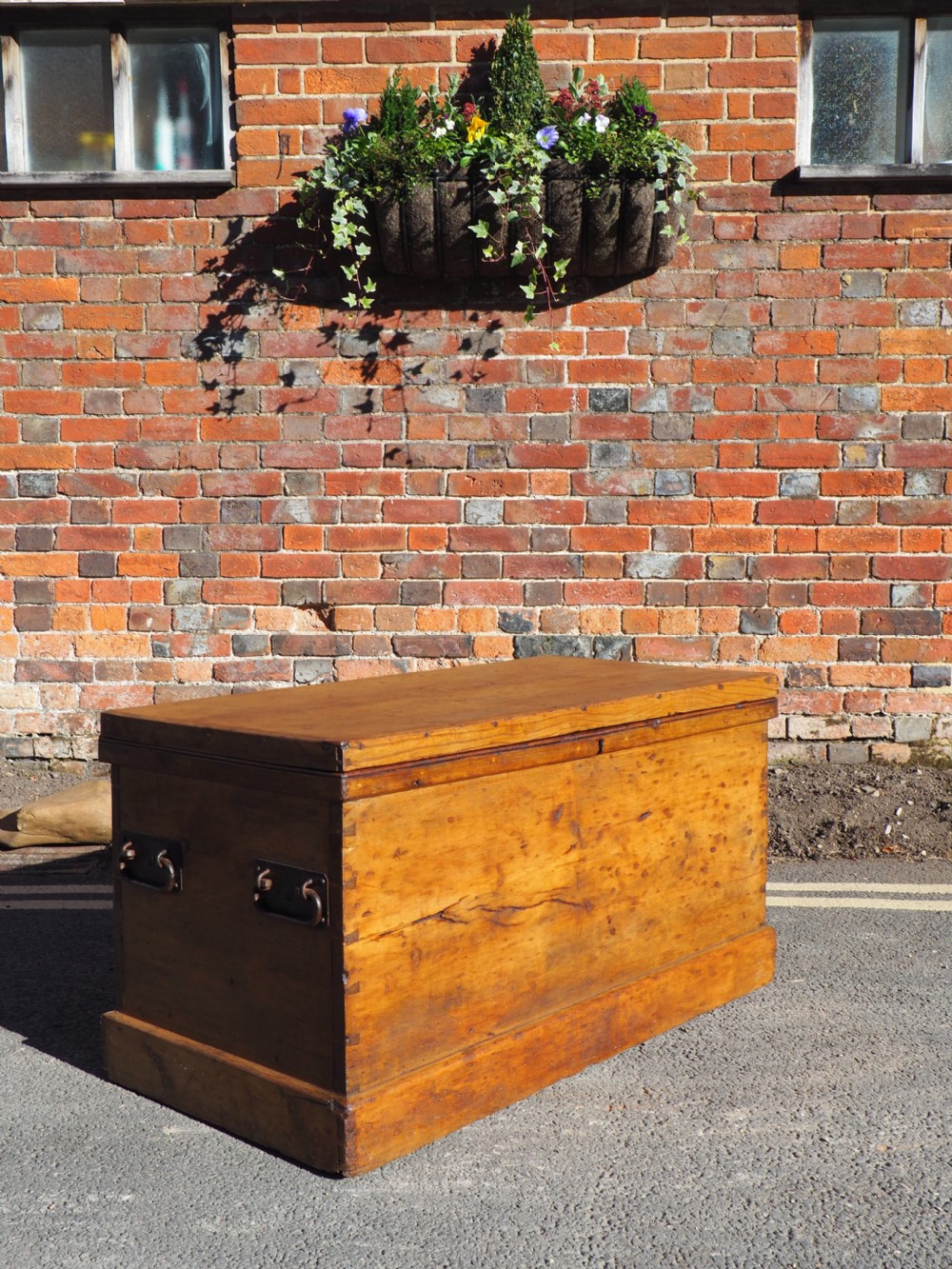 Victorian Pine Trunk