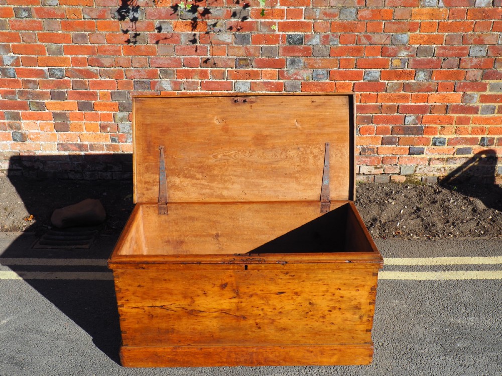 Victorian Pine Trunk View II