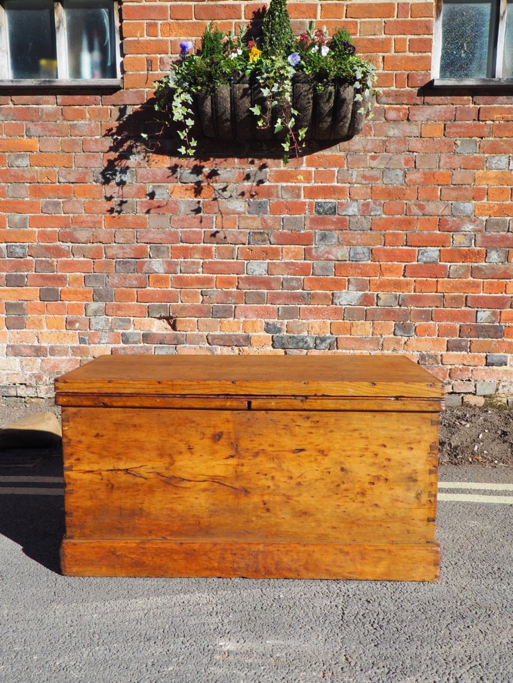 Victorian Pine Trunk View III