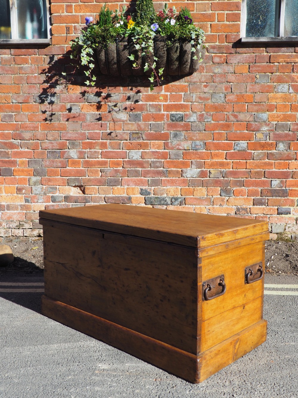 Victorian Pine Trunk View V