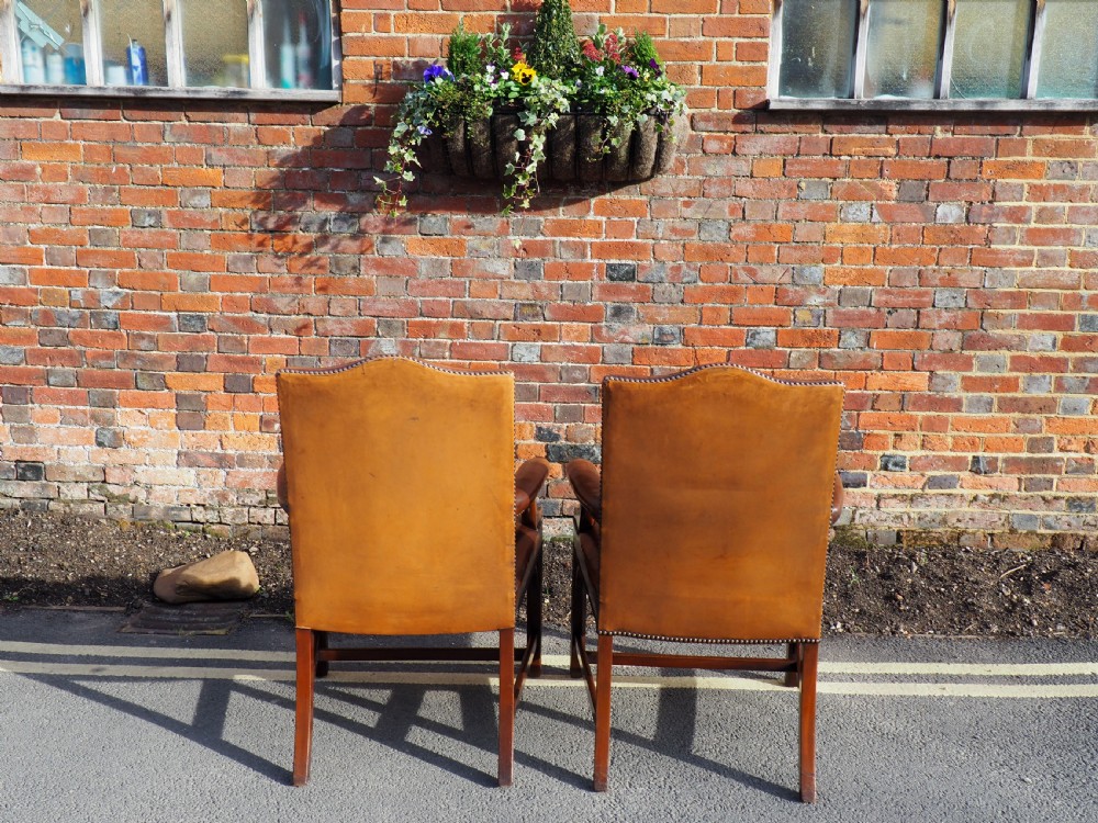 Pair of Leather library armchairs View IV
