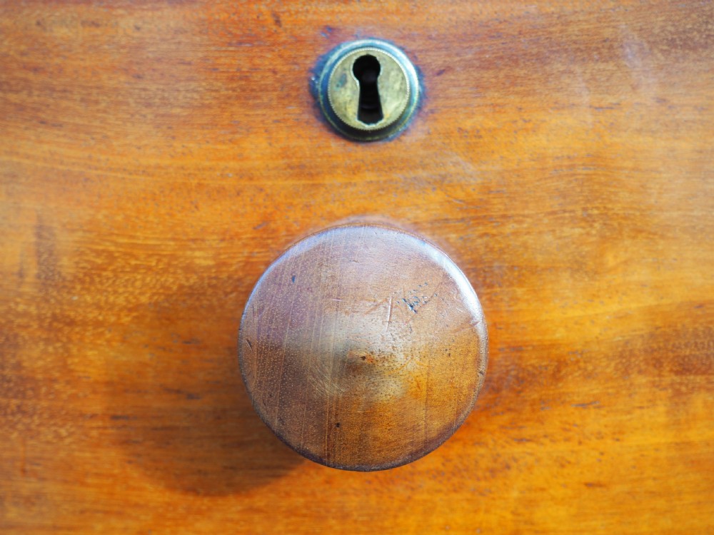 Early Victorian Mahogany chest View II