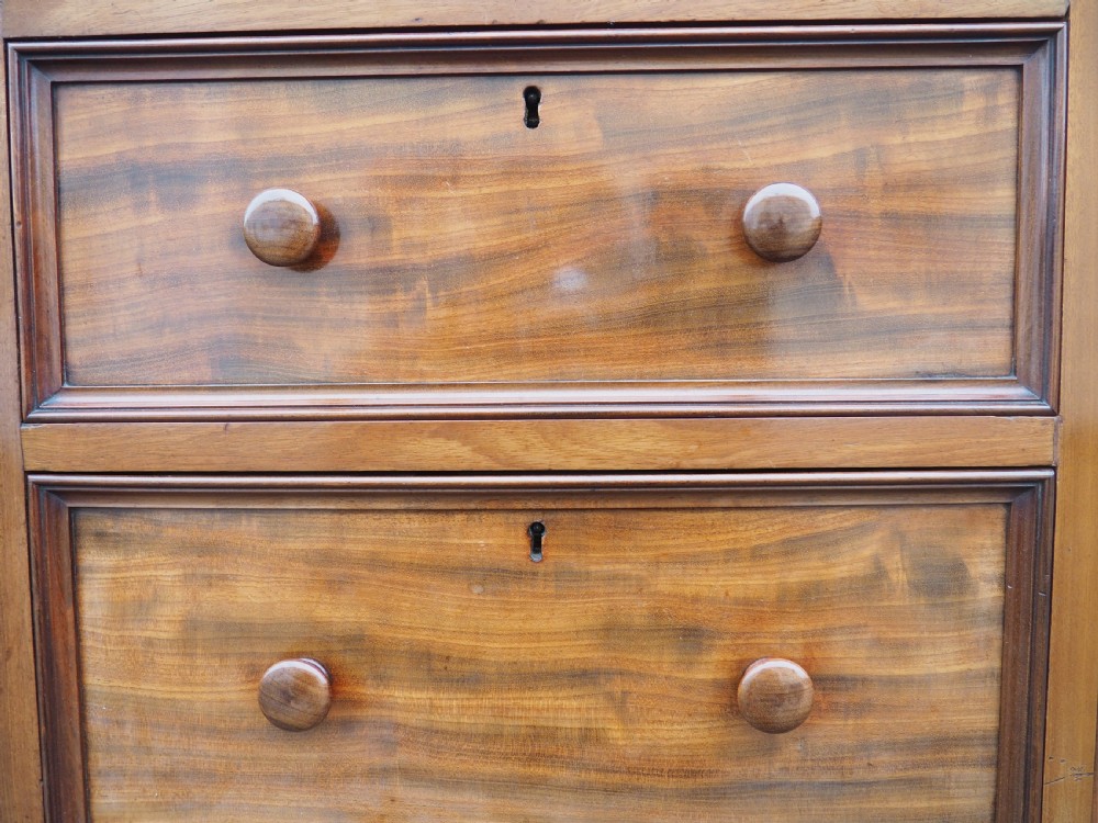 Nineteenth Century Mahogany Press Cupboard View V
