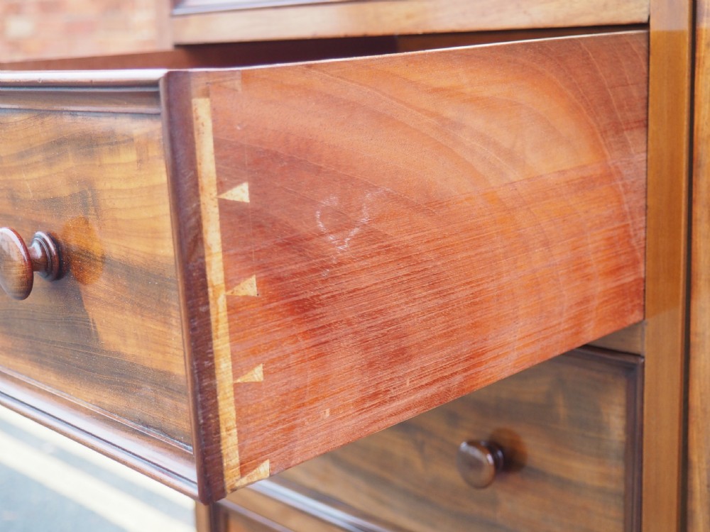 Nineteenth Century Mahogany Press Cupboard View VI