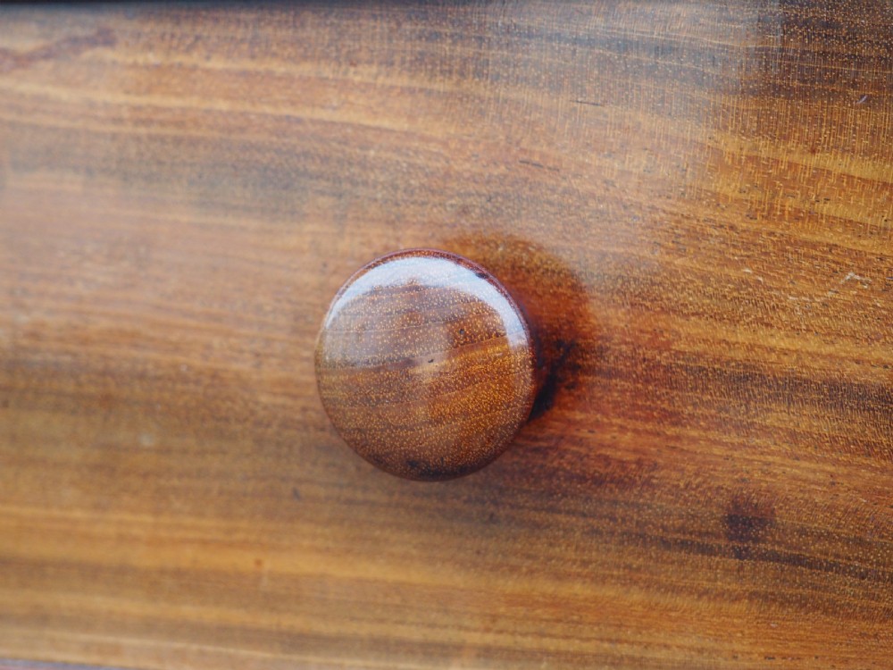 Nineteenth Century Mahogany Press Cupboard View IX