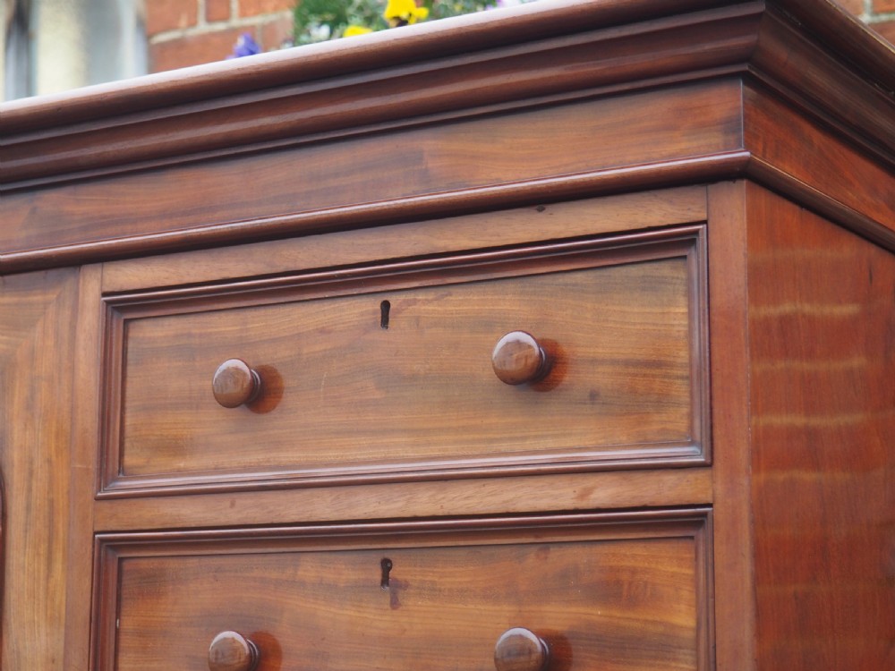 Nineteenth Century Mahogany Press Cupboard View XI