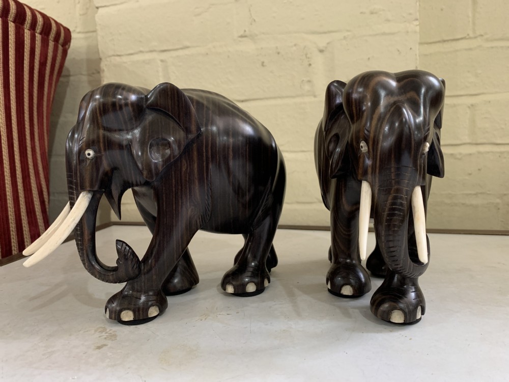 Group of Elephants  View VIII