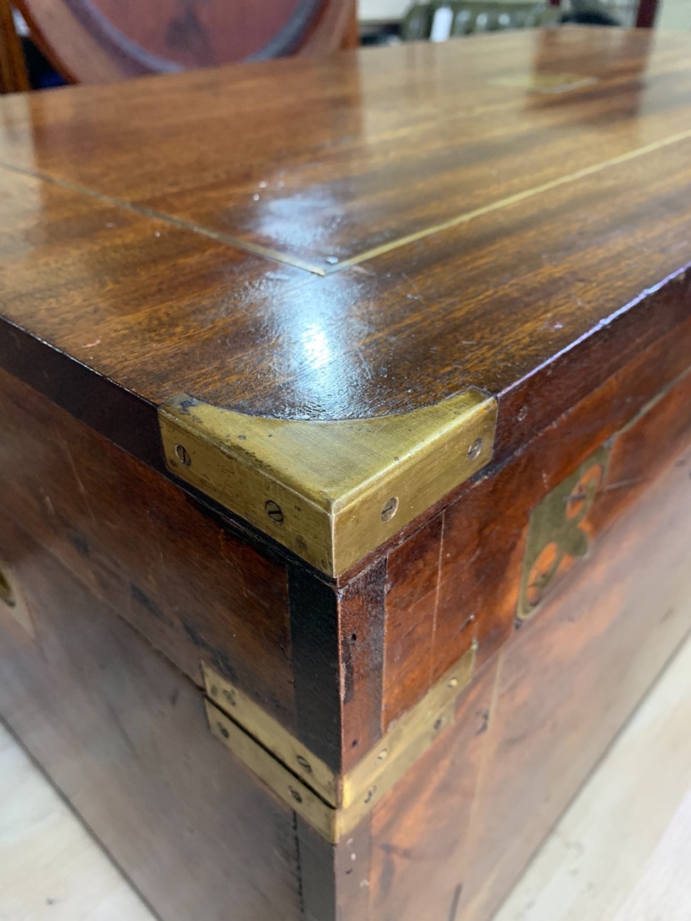 Nineteenth century camphor  trunk View IV