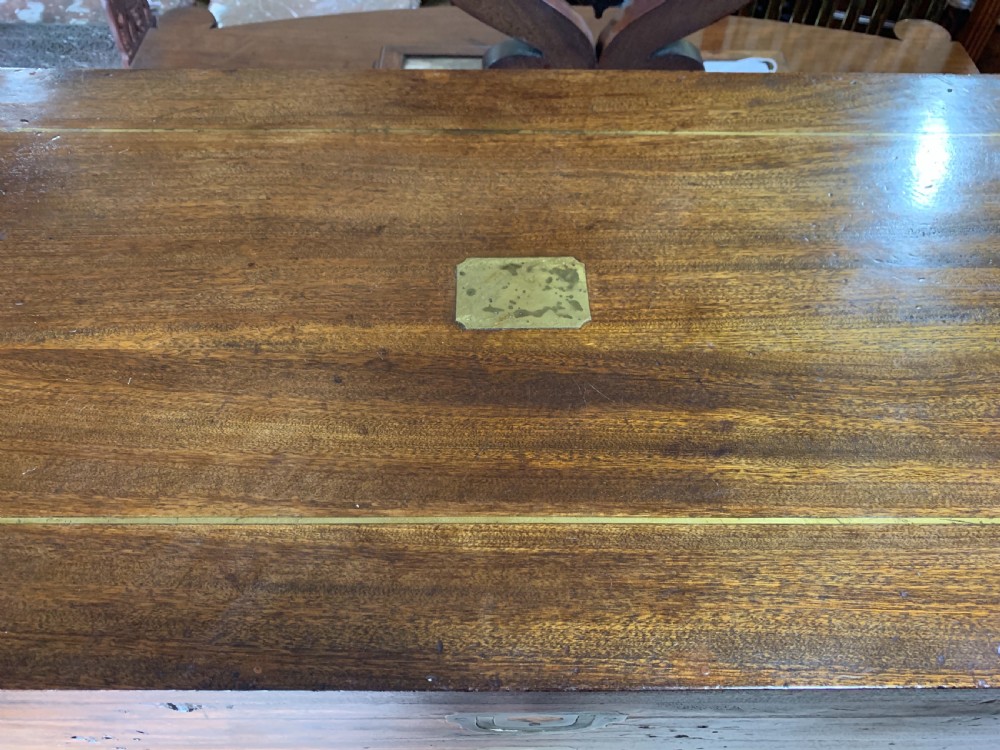 Nineteenth century camphor  trunk View V