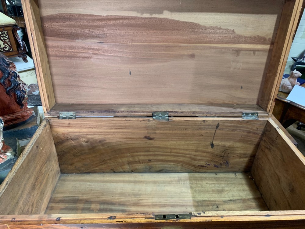 Nineteenth century camphor  trunk View VI
