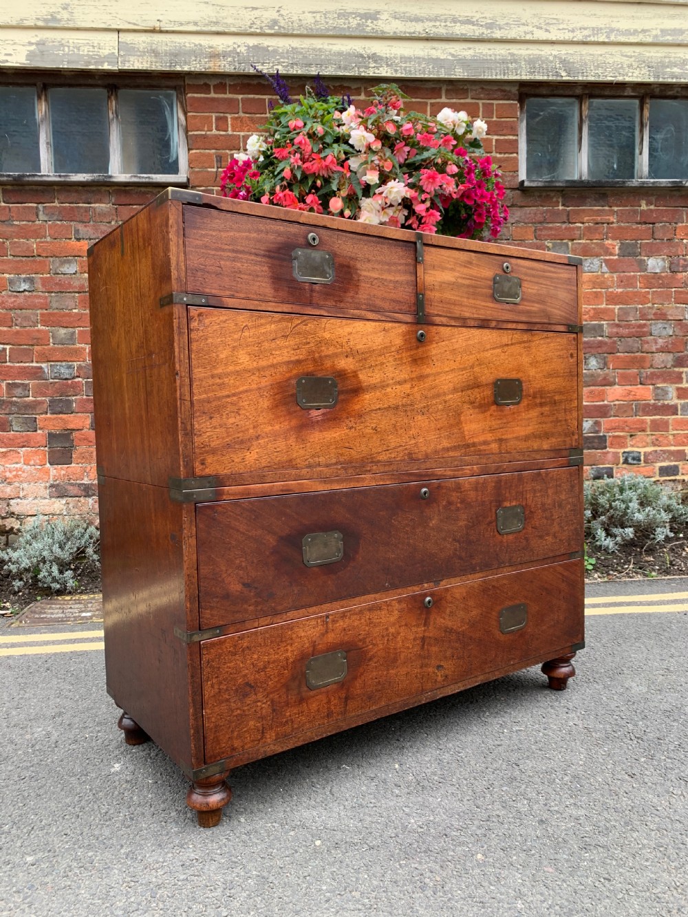 Mahogany military campaign chest 