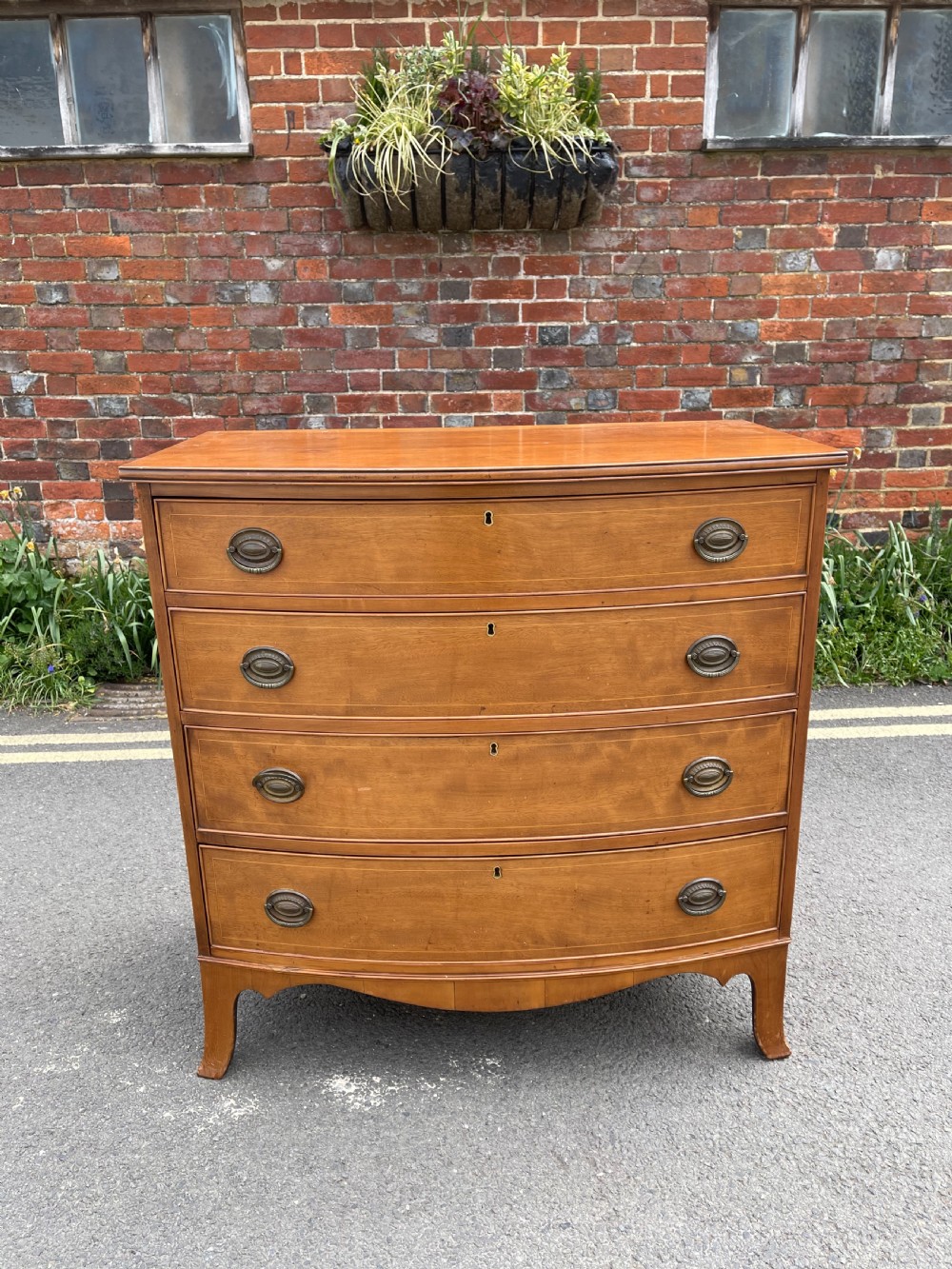 Nineteenth century bowfronted maple chest 