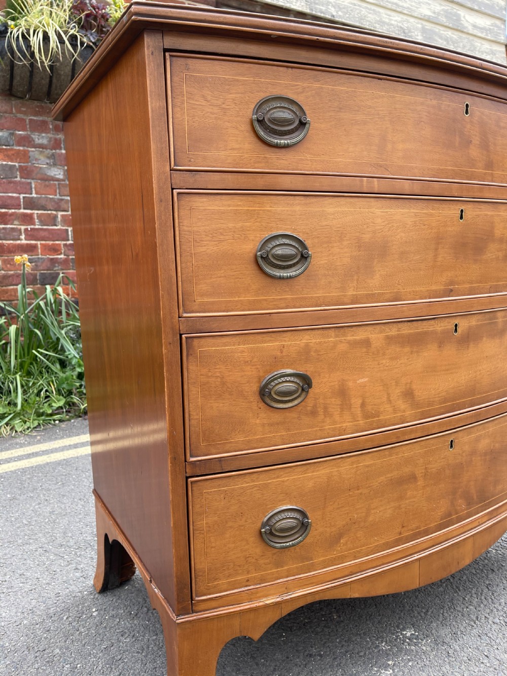Nineteenth century bowfronted maple chest  View II