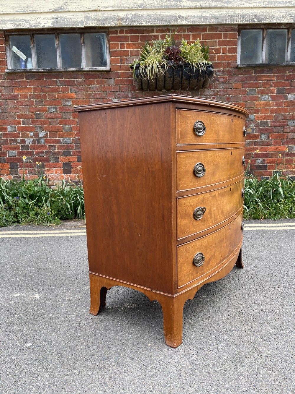 Nineteenth century bowfronted maple chest  View III