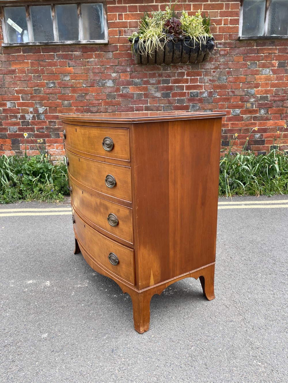Nineteenth century bowfronted maple chest  View V