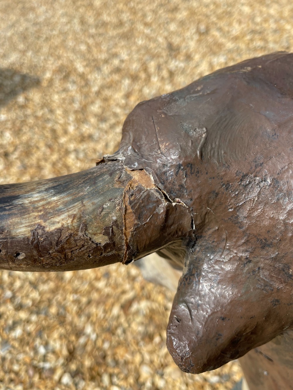 Papier-mache advertising bull View IV