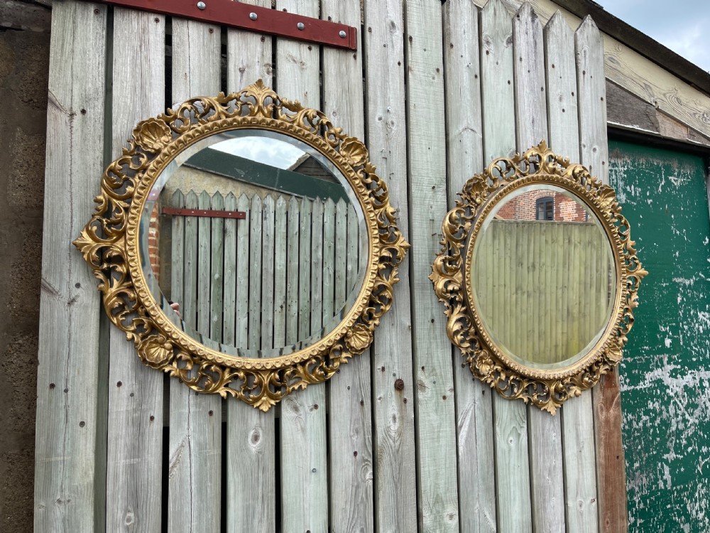 A matching pair of circular wall mirrors featuring elaborate carved giltwood frames decorated with scrollwork and shell motifs.