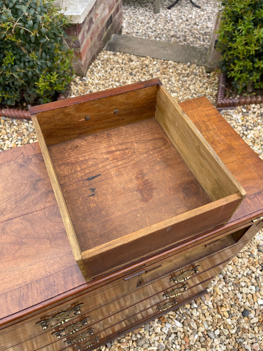 Walnut batchelors chest View V