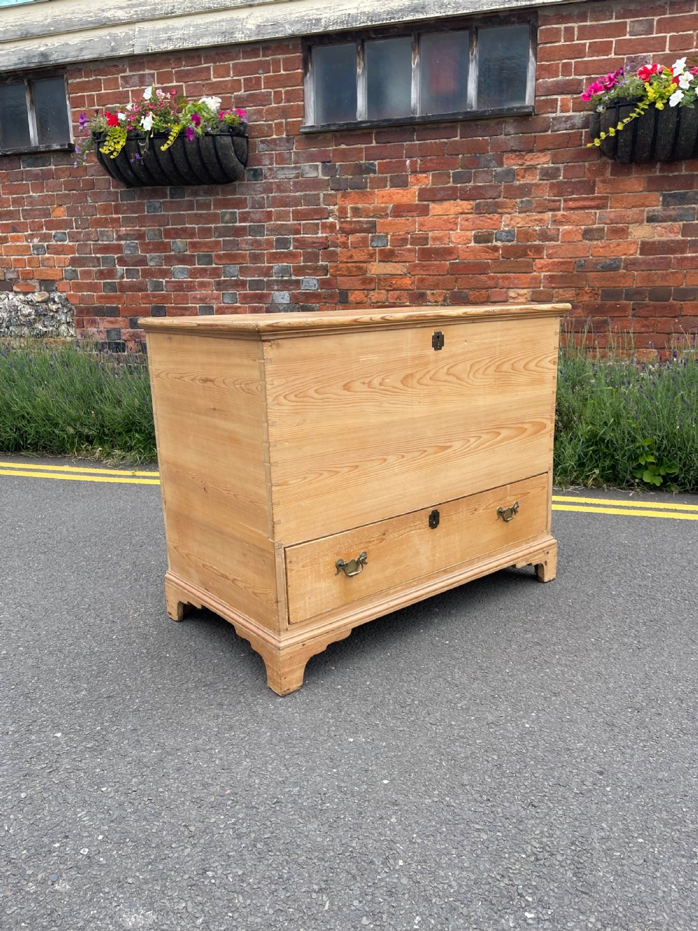 Nineteenth Century pine mule chest 