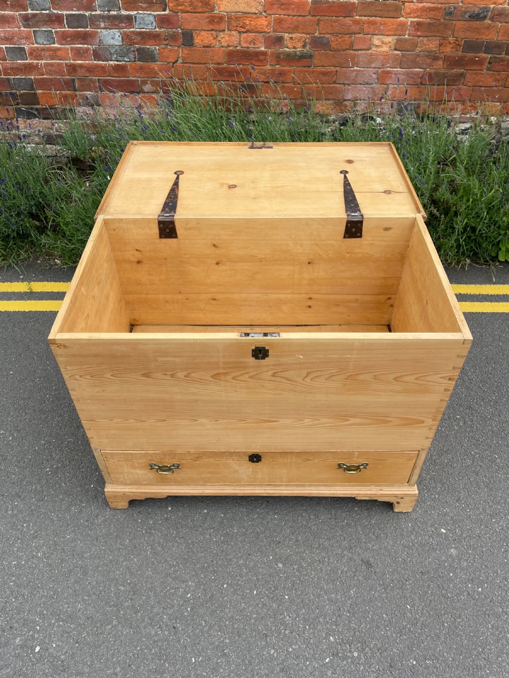Nineteenth Century pine mule chest  View III