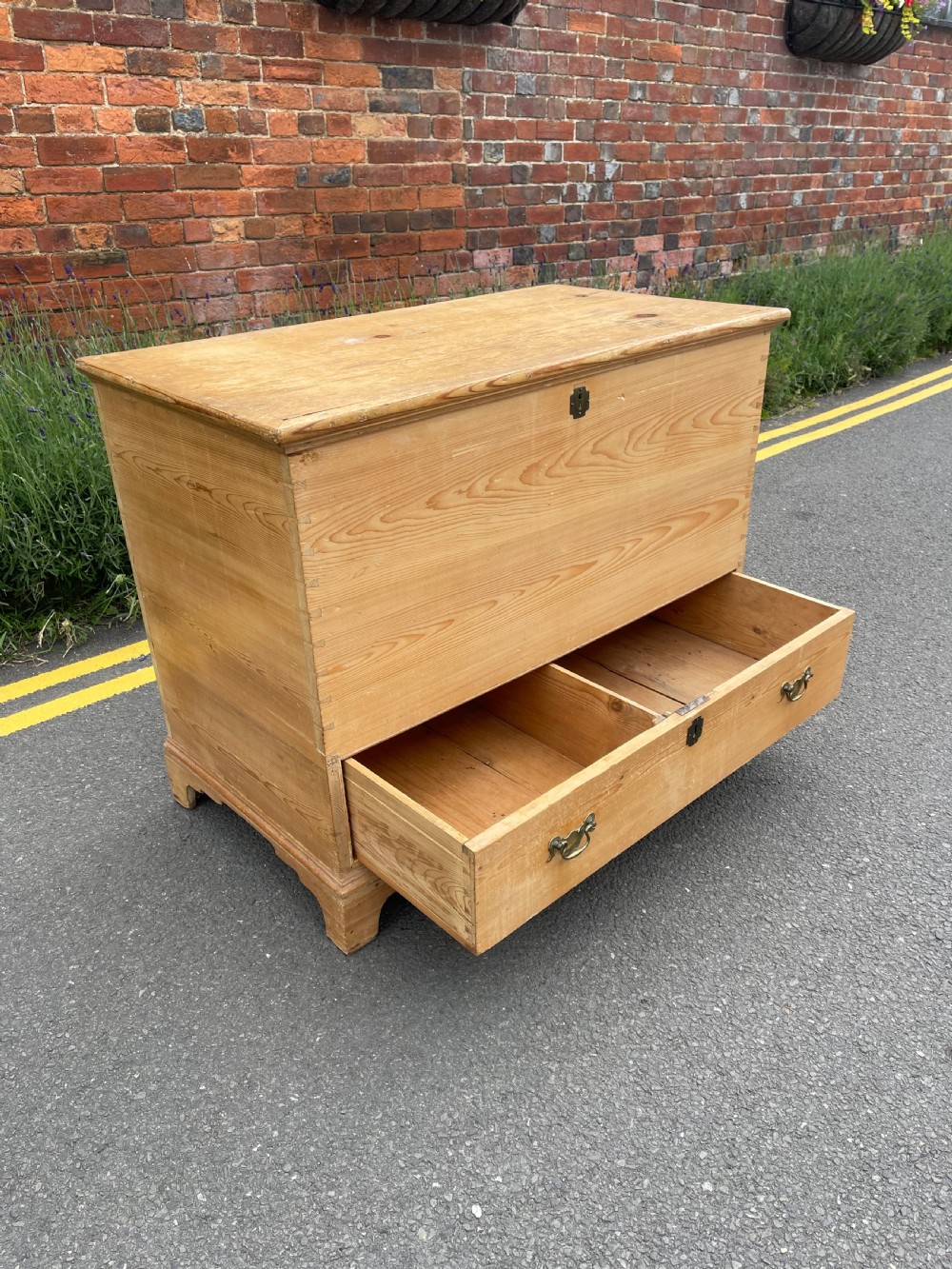 Nineteenth Century pine mule chest  View IV