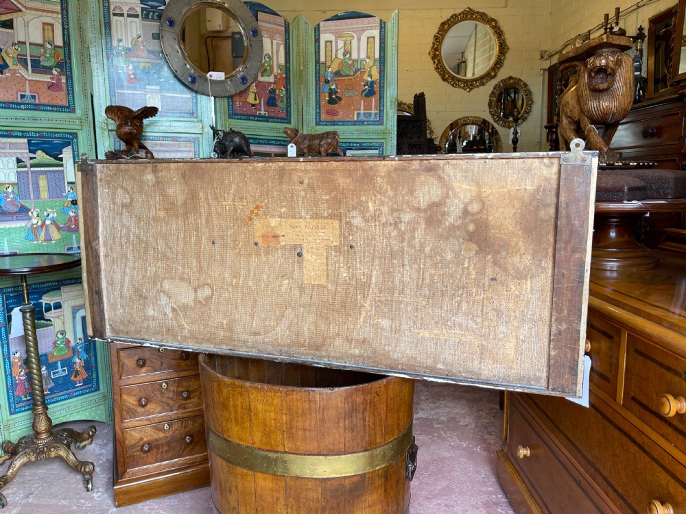 A preserved freshwater pike mounted inside a glazed rectangular wooden case filled with dried riverbed reeds. View III