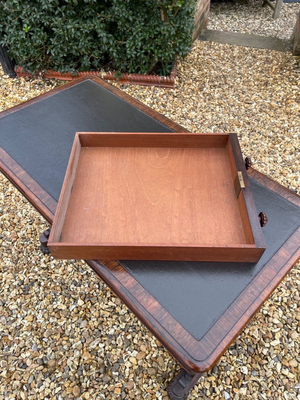 William IV rosewood sofa table  View VI