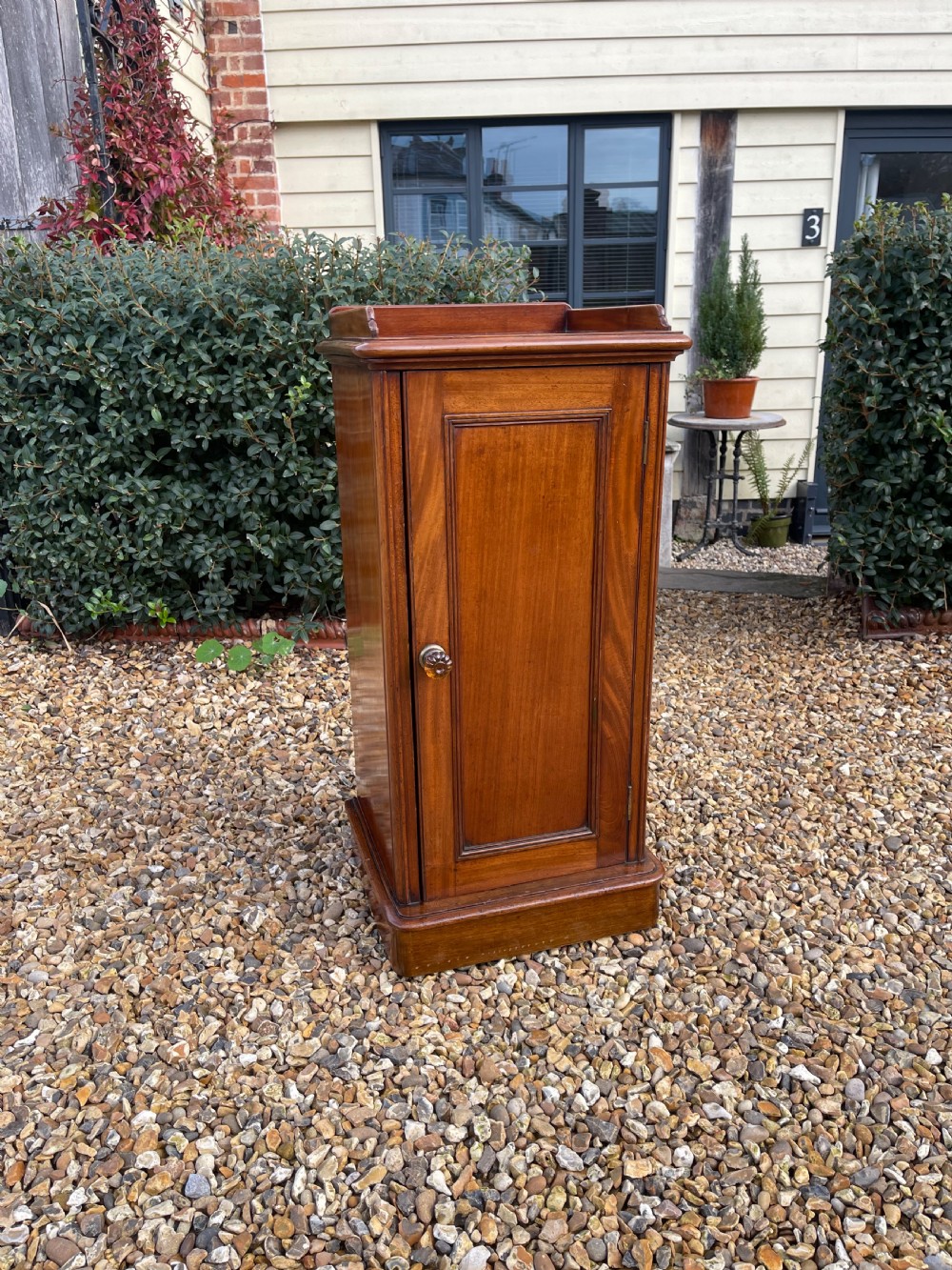 A tall Victorian mahogany pedestal cupboard featuring a low rear gallery upstand, a single panelled door with a turned glass knob, and a solid plinth base.