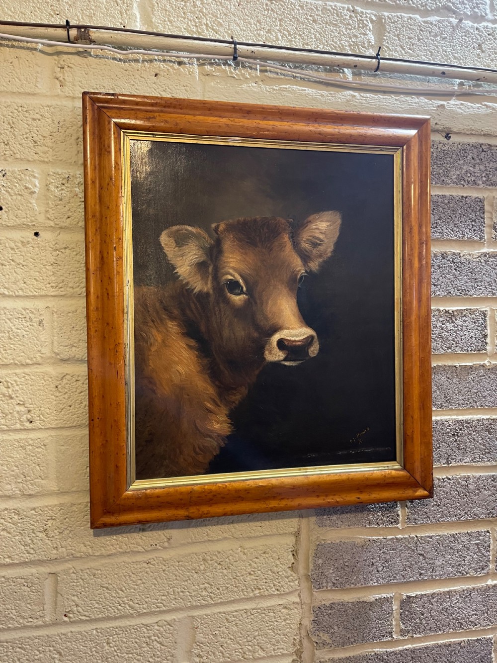 Portrait oil of cow