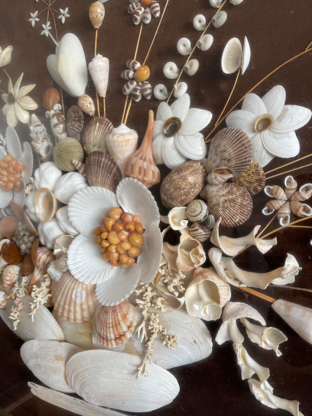 An oval gilt-framed picture featuring a three-dimensional bouquet of sea shells arranged into flowers against a dark brown background. View III